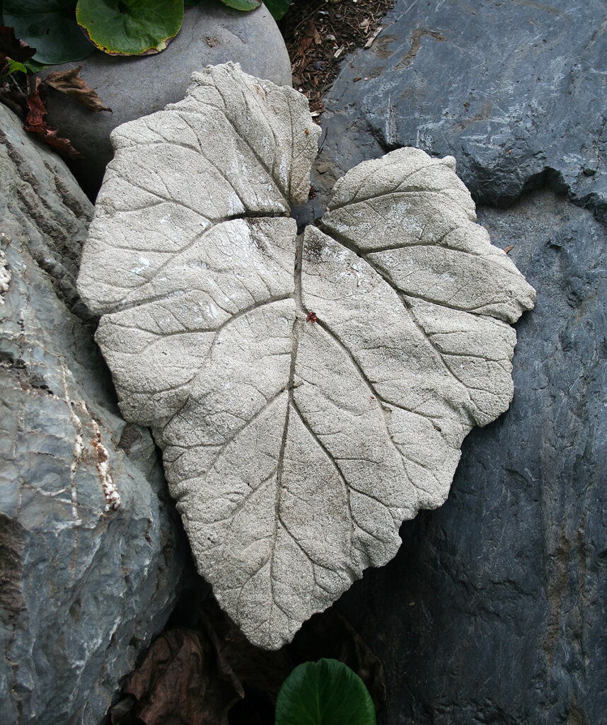 Cast Leaf Workshop - The Allamanda Garden Club of North Port, Florida