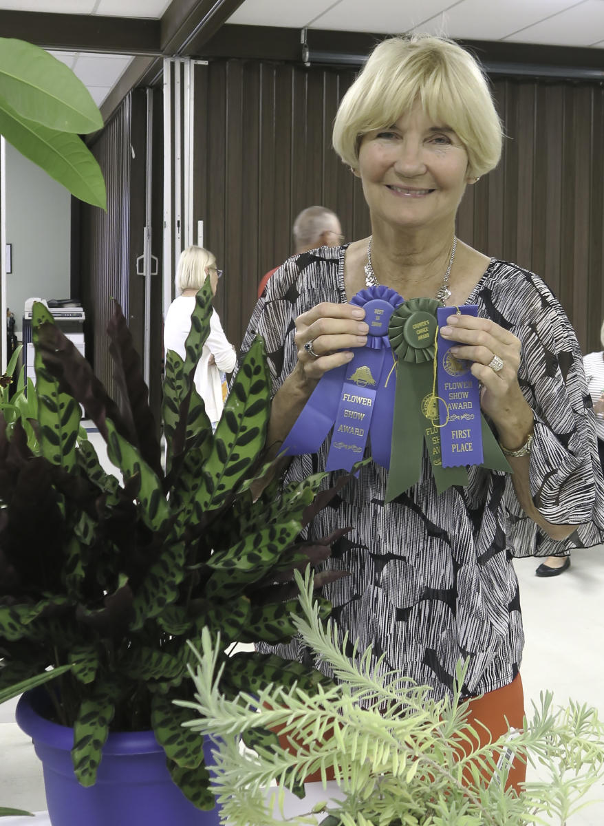 Susie Cochran won three ribbons for her plant!